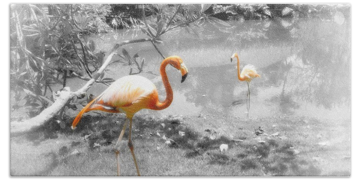 Bird Beach Towel featuring the photograph Pink Orange Flamingo Photo 212 by Lucie Dumas