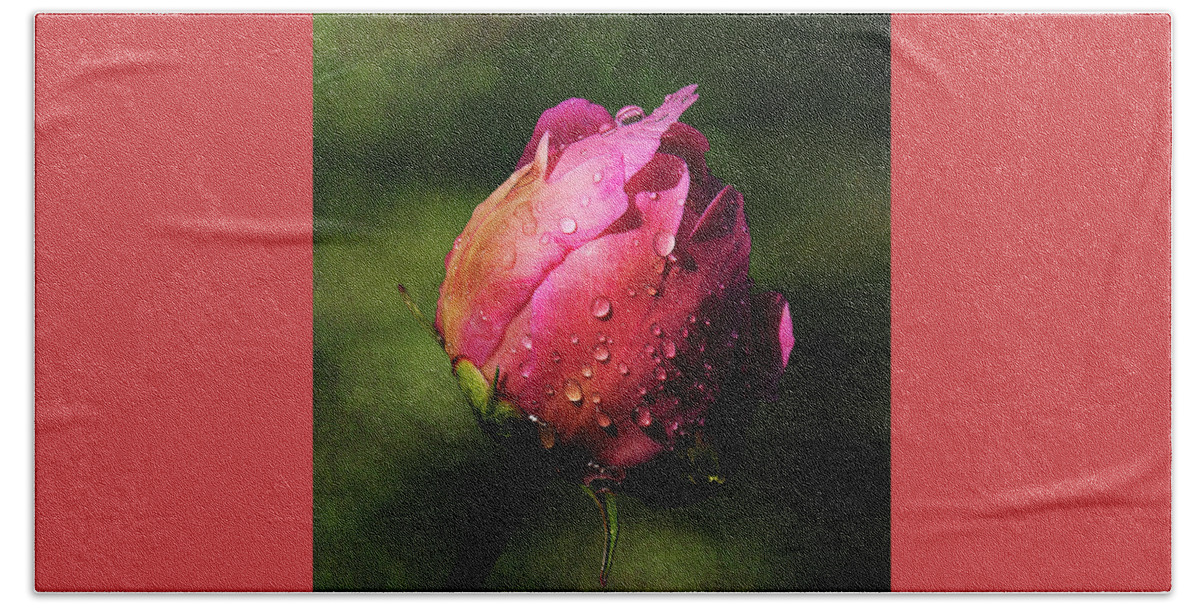 Pink Beach Sheet featuring the photograph Pink Peony Bud with Dew Drops by Patti Deters