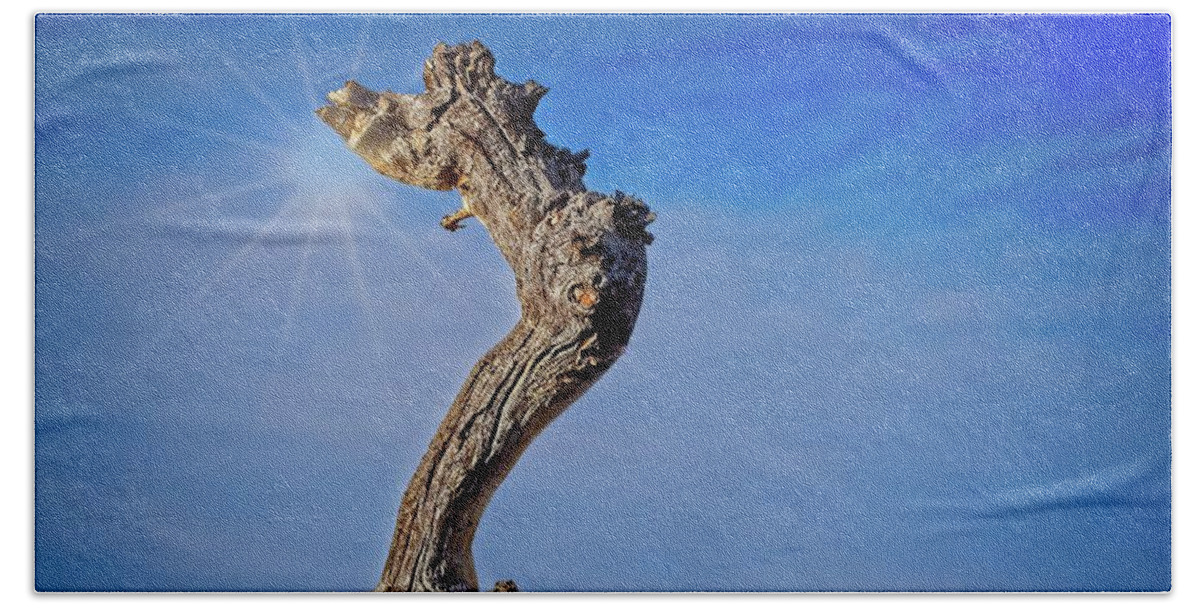 Growth Beach Towel featuring the photograph Pinyon Trunk Against A Blue Sky by David Desautel