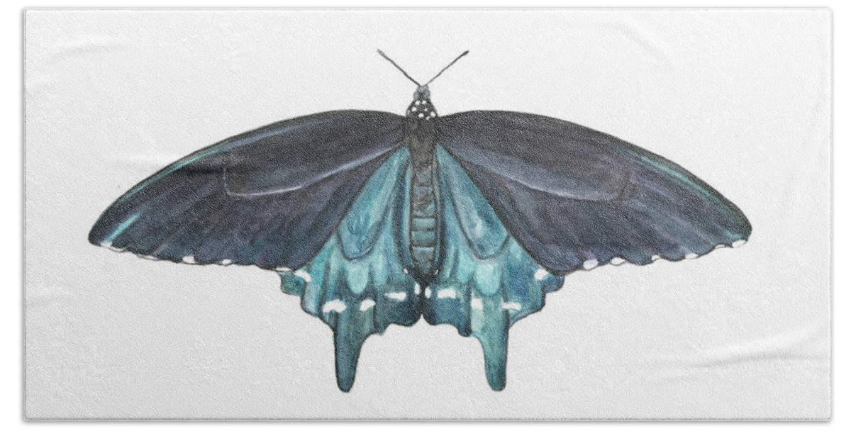 Butterfly Butterflies Florida American Pipevine Swallowtail Blue Navy Transformation Watercolor Beach Towel featuring the painting Pipevine Swallowtail Butterfly by Pamela Schwartz