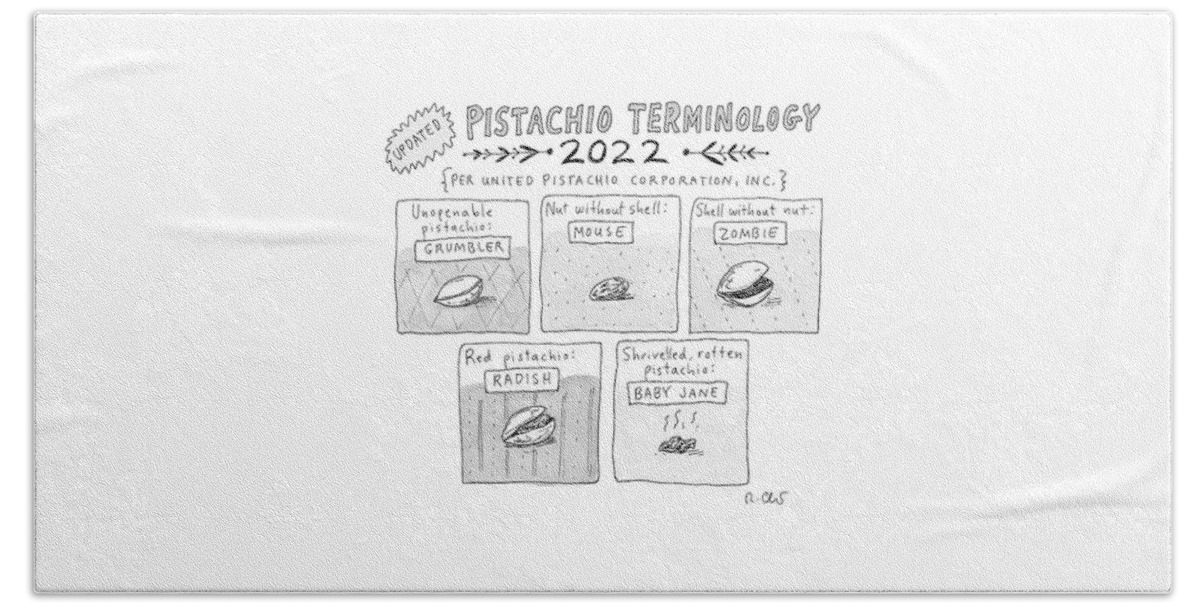 Pistachio Terminology Beach Sheet