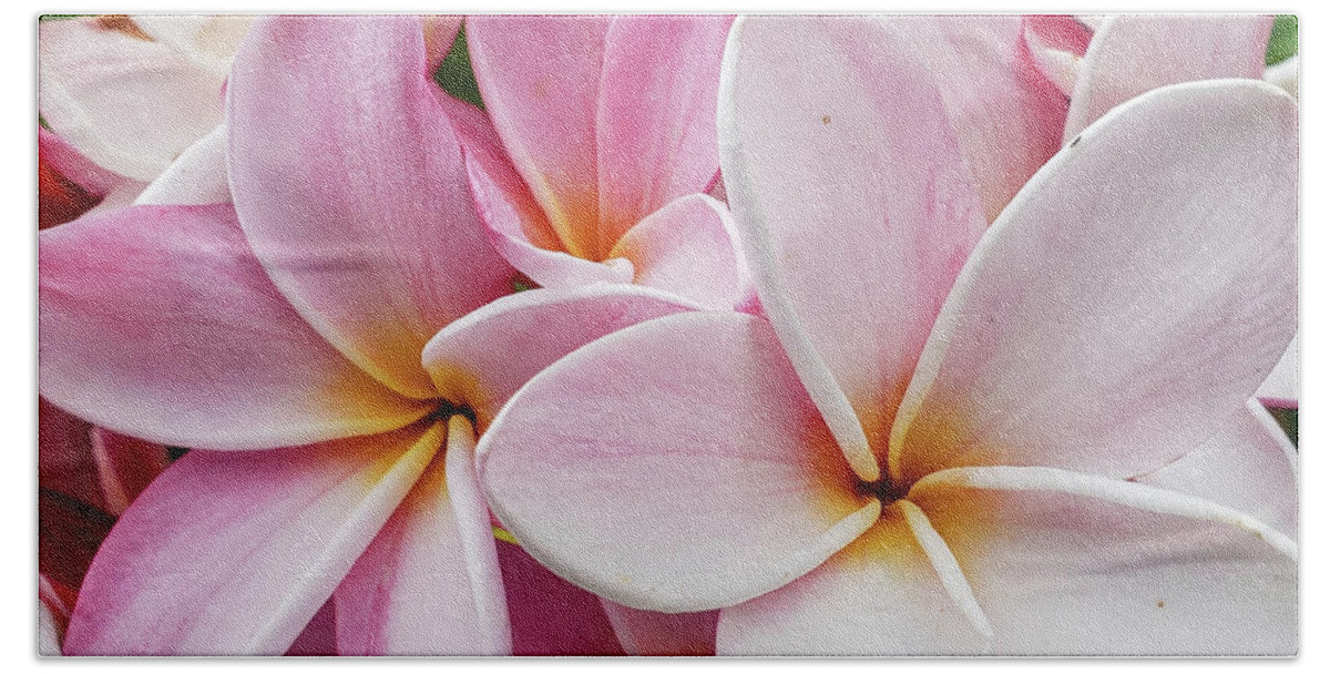 Flowers Beach Towel featuring the photograph Plumeria Party by Tony Spencer