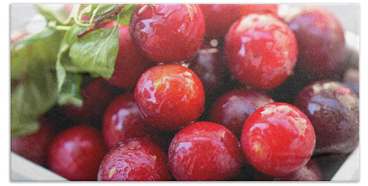 Fruit Beach Towel featuring the photograph Plums A Lot by Vanessa Thomas