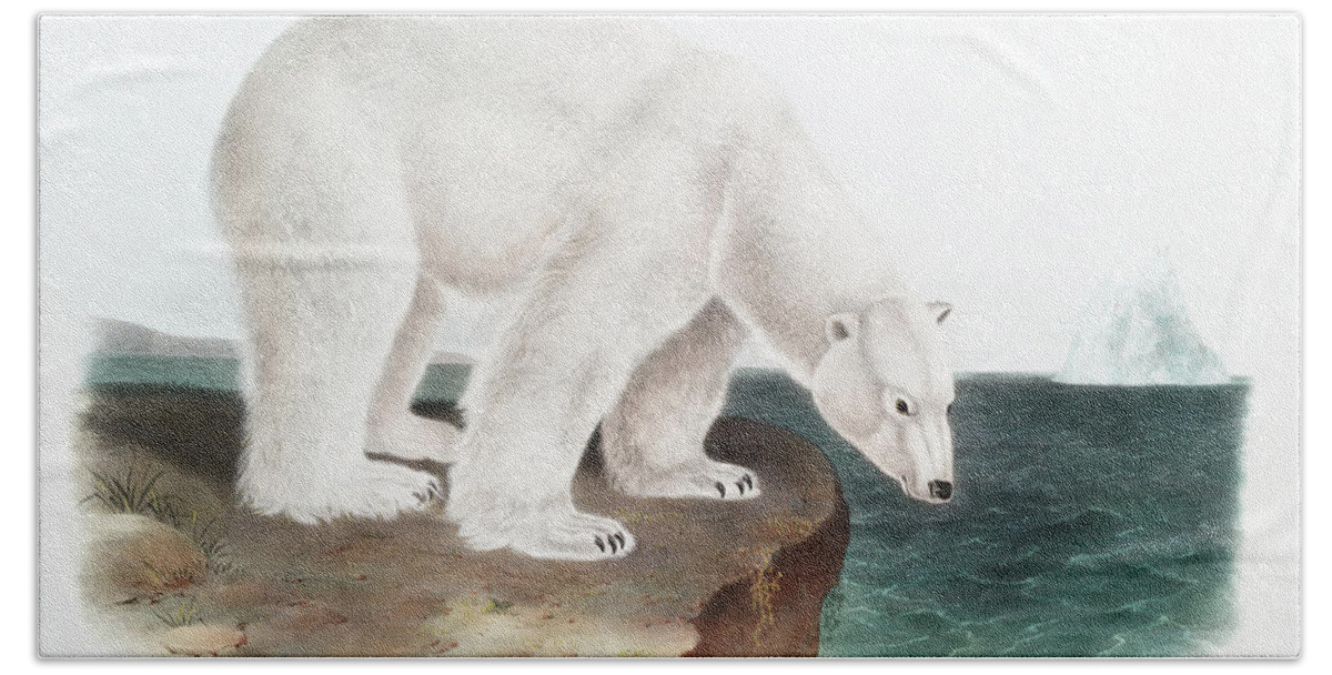 American Animals Beach Towel featuring the mixed media Polar Bear John Woodhouse Audubon by World Art Collective