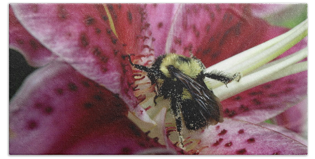Bumblebee Beach Towel featuring the photograph Pollenated Bumble by Jeffrey Peterson