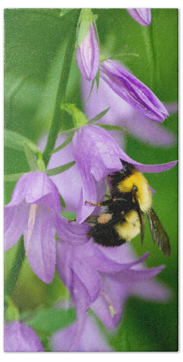 Bumble Bee Beach Sheet featuring the photograph Pollinator's Purple Passion by Linda Bonaccorsi
