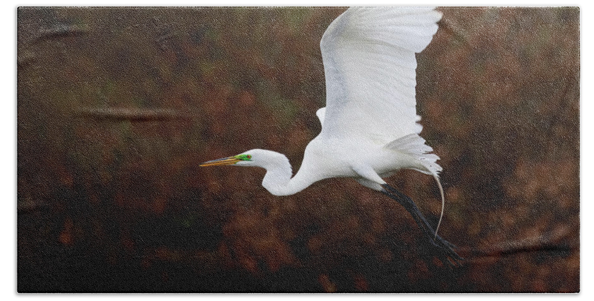 Egret Beach Towel featuring the photograph Pond Popping Egret by Art Cole