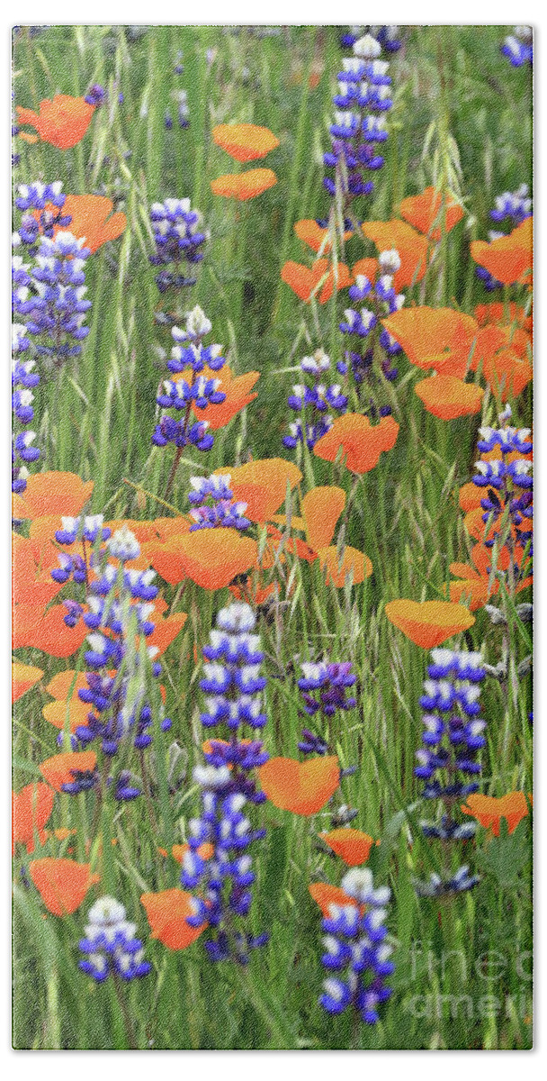 Poppy Beach Towel featuring the photograph Poppies and Lupines by Vivian Krug Cotton