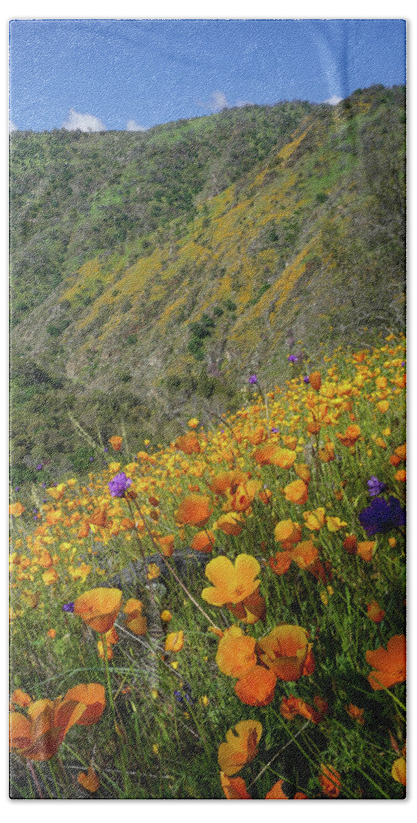 Poppies Beach Towel featuring the photograph Poppies And Purpleheads by Brett Harvey
