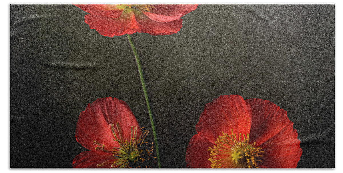 Poppy Flowers Beach Towel featuring the photograph Poppy Flowers - Circle of Life by Lily Malor