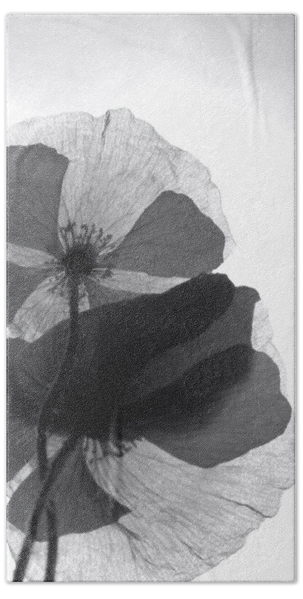 Poppy Love Beach Towel featuring the photograph Poppy Love - Black and White by Marianna Mills