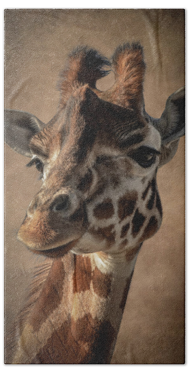 Portrait Beach Towel featuring the digital art Portrait giraffe in shades of brown by Marjolein Van Middelkoop