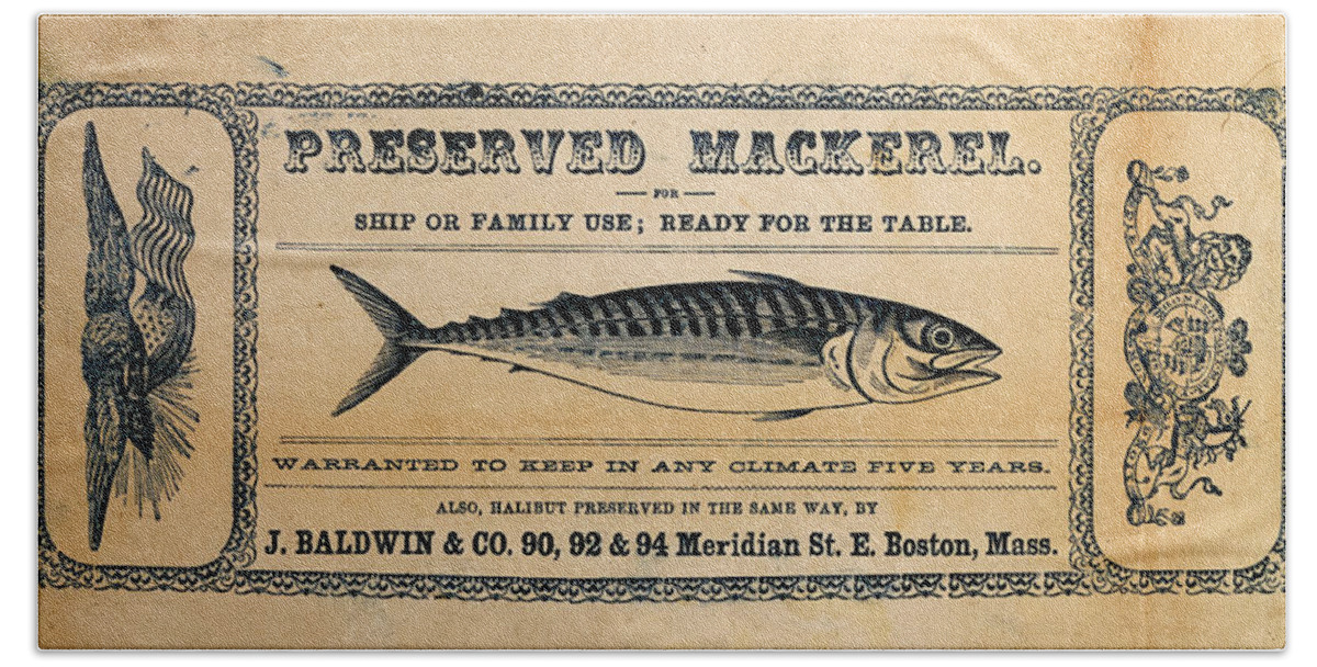 Preserved Mackeral Beach Towel featuring the mixed media Preserved Mackerel by Richard Reeve