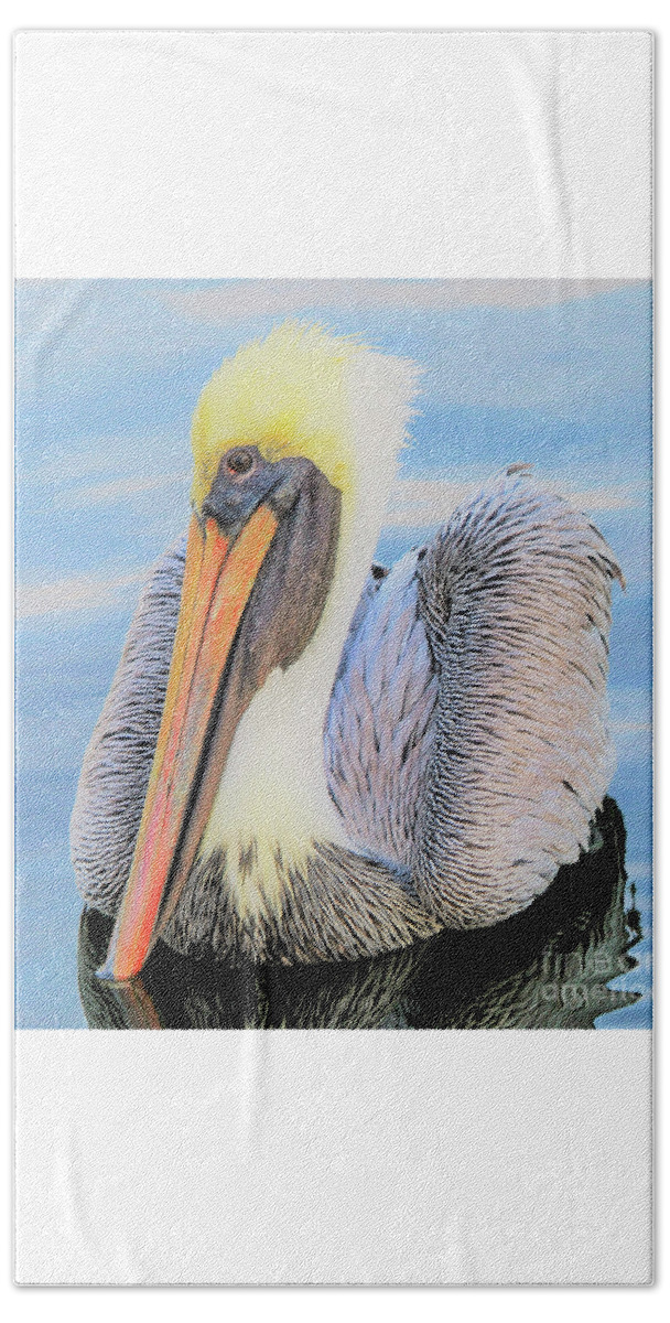 Mature Brown Pelican Beach Towel featuring the photograph Pretty One by Joanne Carey