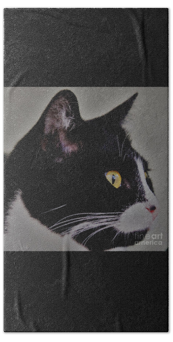 Cats Beach Towel featuring the photograph Profile of a black and white cat by Joanne Carey