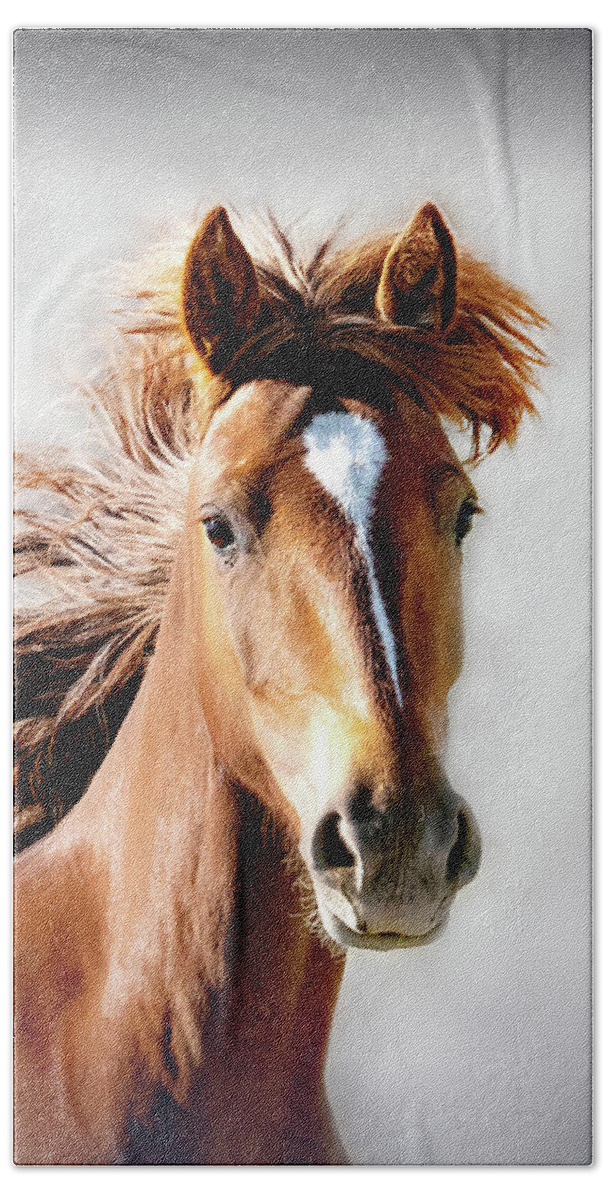 Horses Beach Towel featuring the photograph Proud Wildness Portrait by Judi Dressler