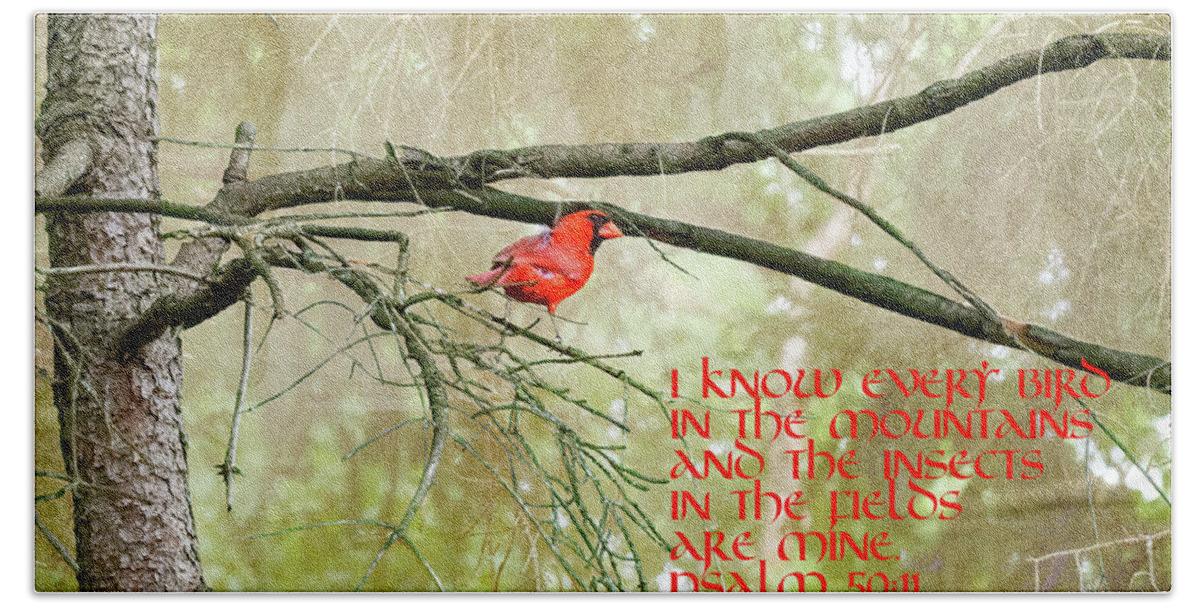 Psalm Beach Towel featuring the photograph Psalms With Red Cardinal in Tree by Paul Giglia