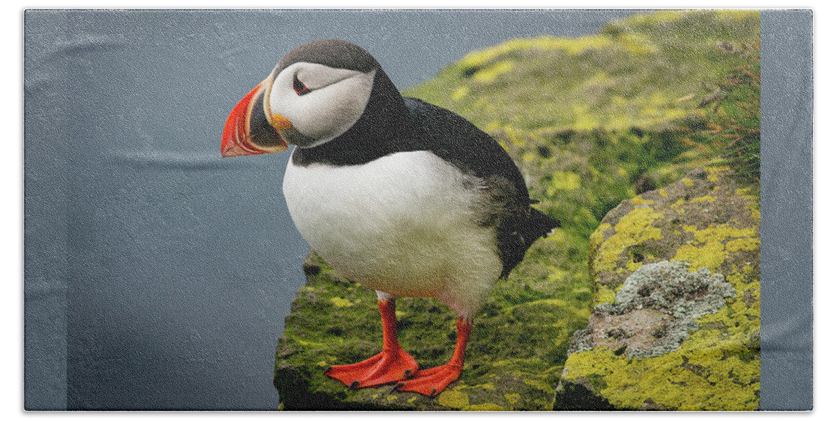Puffin Beach Towel featuring the photograph Puffin on Cliff edge by Stephen Sloan