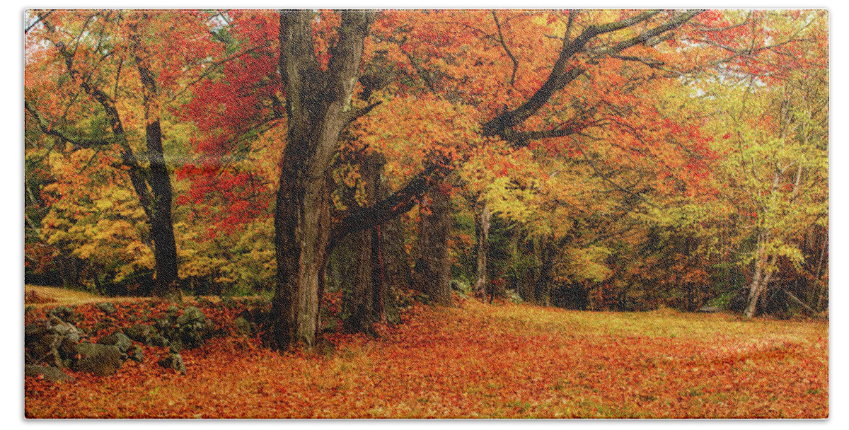 New Hampshire Beach Towel featuring the photograph Pure Fall by Robert Clifford