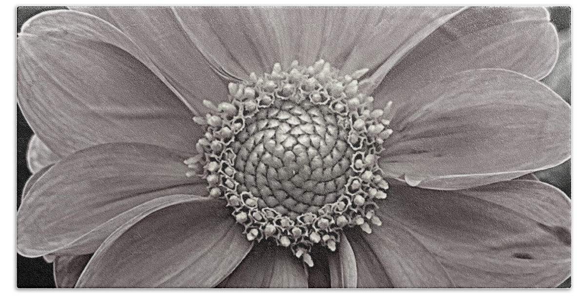 Flower Beach Towel featuring the photograph Purity BW by Lee Darnell