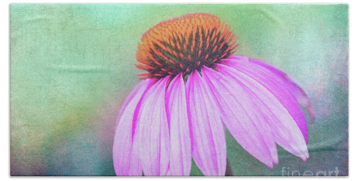 Purple Coneflower Echinacea Beach Towel featuring the photograph Purple Coneflower with a touch of Grunge by Anita Pollak