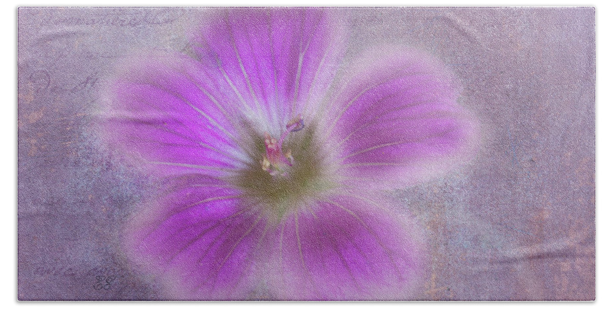 Flower Beach Towel featuring the photograph Softly Purple by Elaine Teague