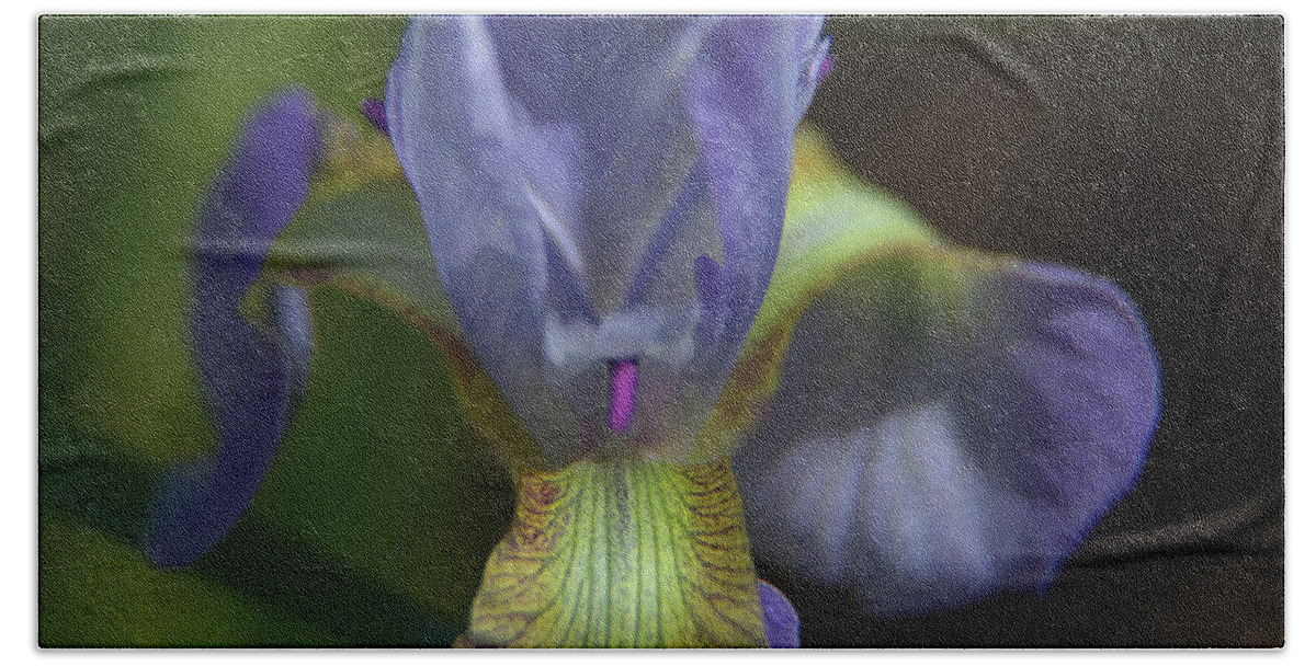 Iris Beach Towel featuring the photograph Purple Iris Flower by Loyd Towe Photography