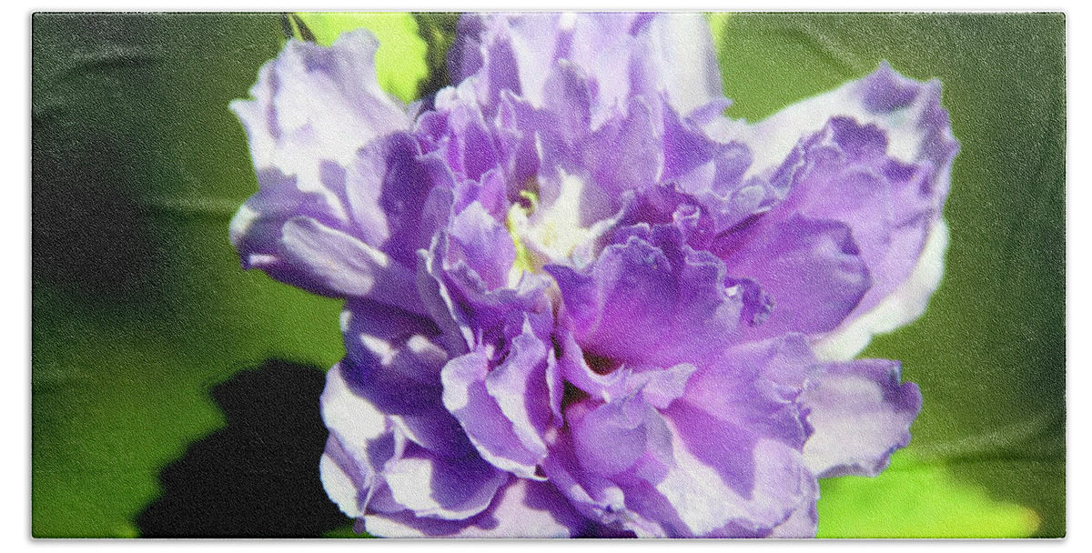Flower Beach Towel featuring the photograph Purple on Green by John Lautermilch