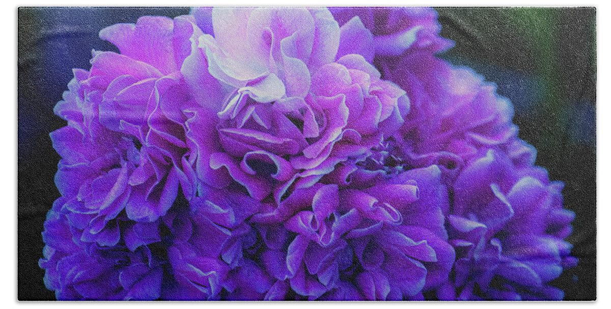 Most Popular Floral� Beach Towel featuring the photograph Purple Perfection Floral by Roberta Byram