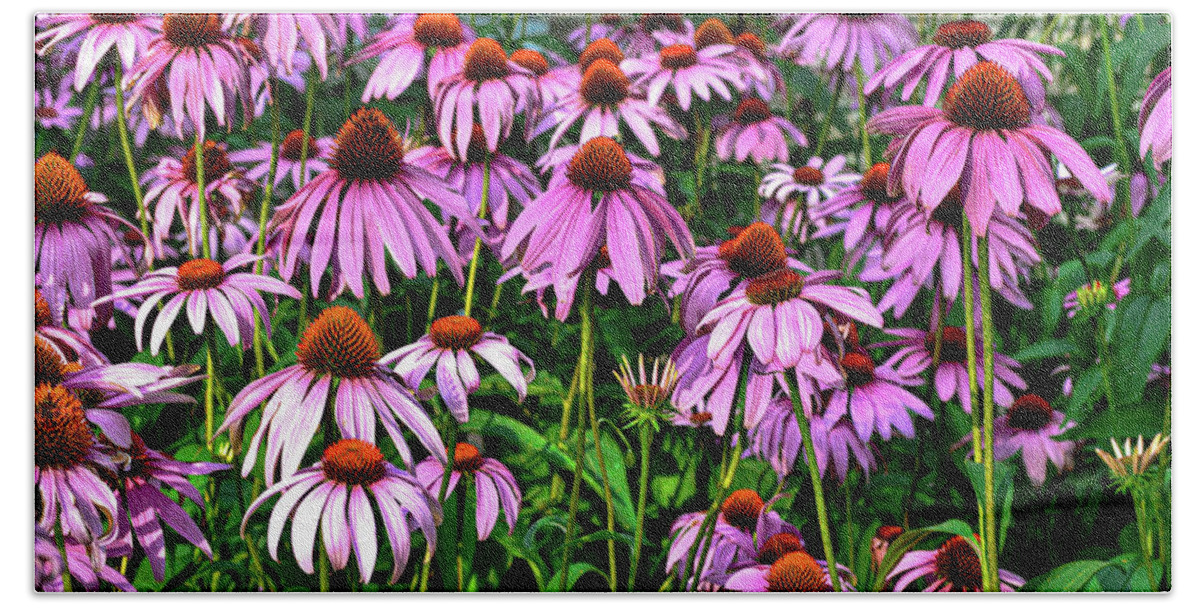 Cone Flowers Beach Towel featuring the photograph Purple Power by Susie Loechler