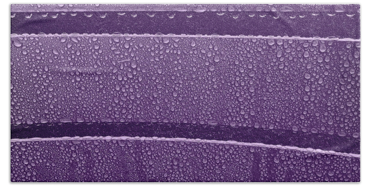 Purple Beach Towel featuring the photograph Purple rain by Bob McDonnell