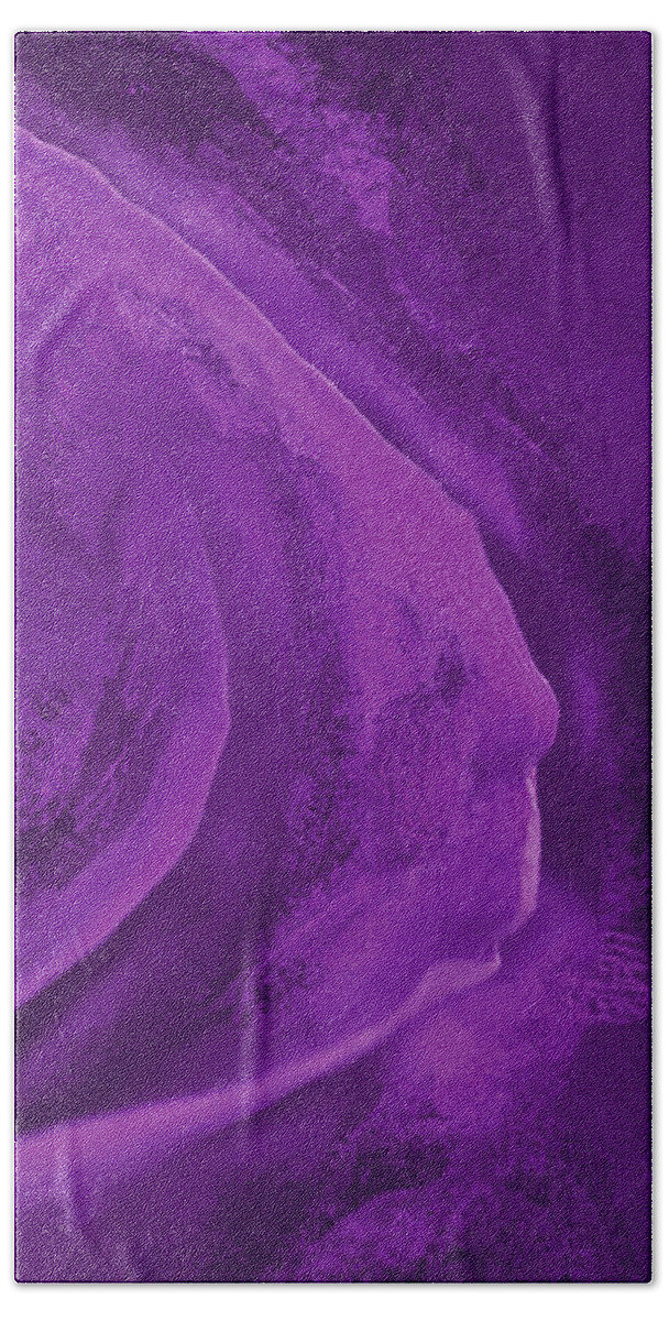 Flower Beach Towel featuring the photograph Purple Rose Petal by George Robinson