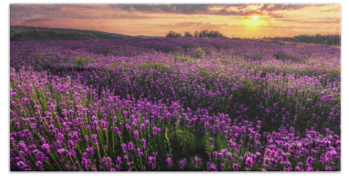 Bulgaria Beach Towel featuring the photograph Purple Sea by Evgeni Dinev