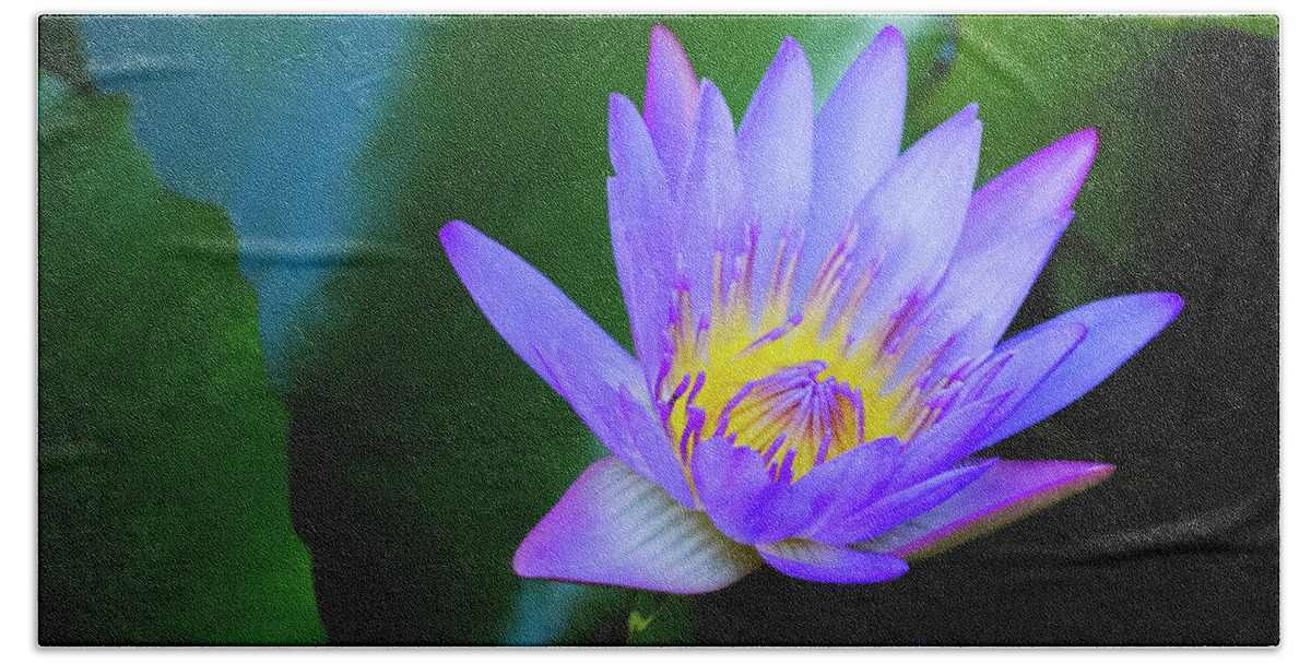 Exotic Flower Beach Towel featuring the photograph Purple Water Lily by Christi Kraft