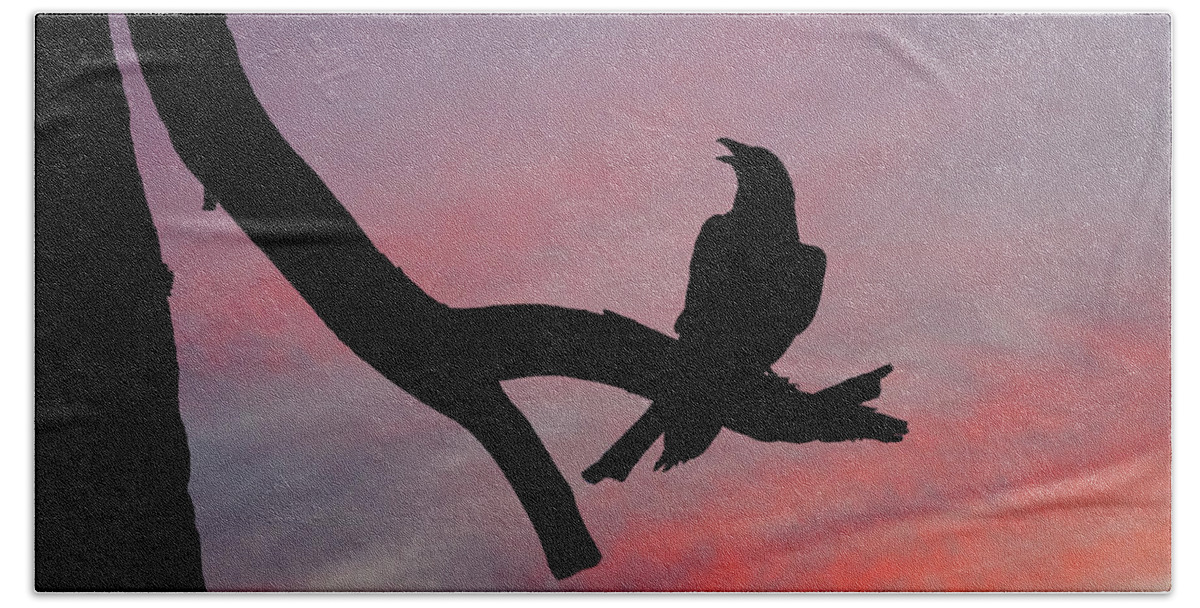 Adult Beach Towel featuring the photograph Raven Silhouette by Jeff Goulden