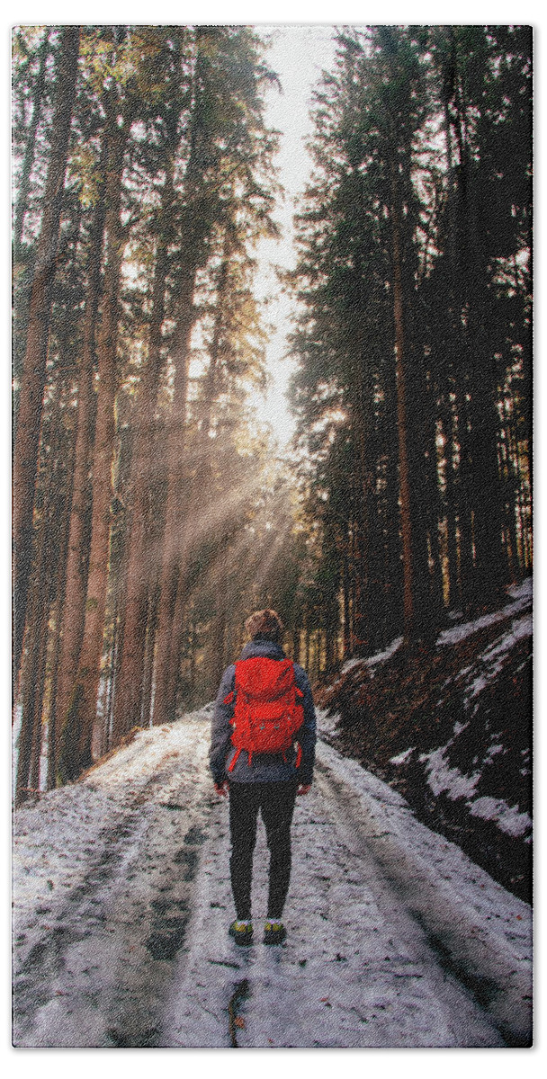 Explorer Beach Towel featuring the photograph Rays of the sun streak through the forest by Vaclav Sonnek