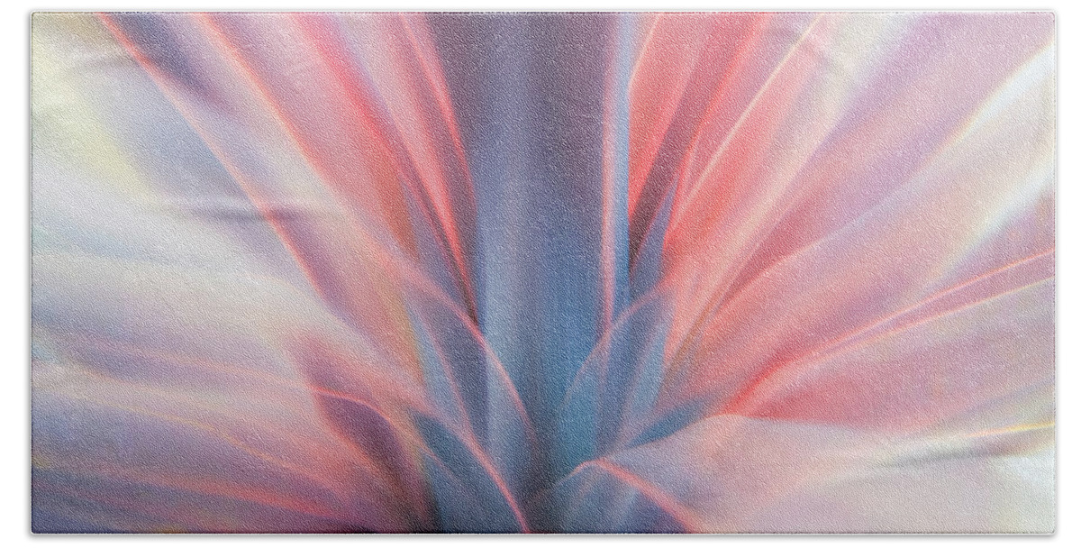 Abstract Beach Towel featuring the photograph Red Dracaena by Jonathan Nguyen