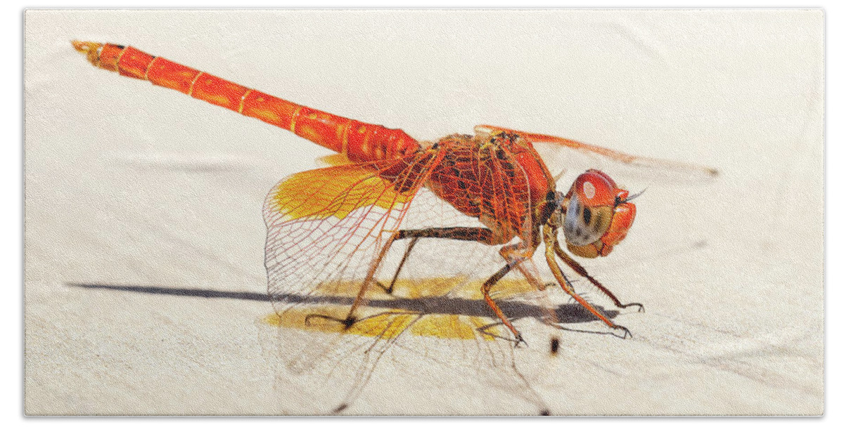 Dragonfly Beach Towel featuring the photograph Red Dragonfly 04 by Weston Westmoreland