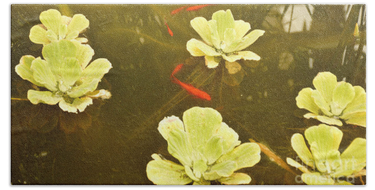 Fish Beach Towel featuring the photograph Red fish in green waters by Yavor Mihaylov