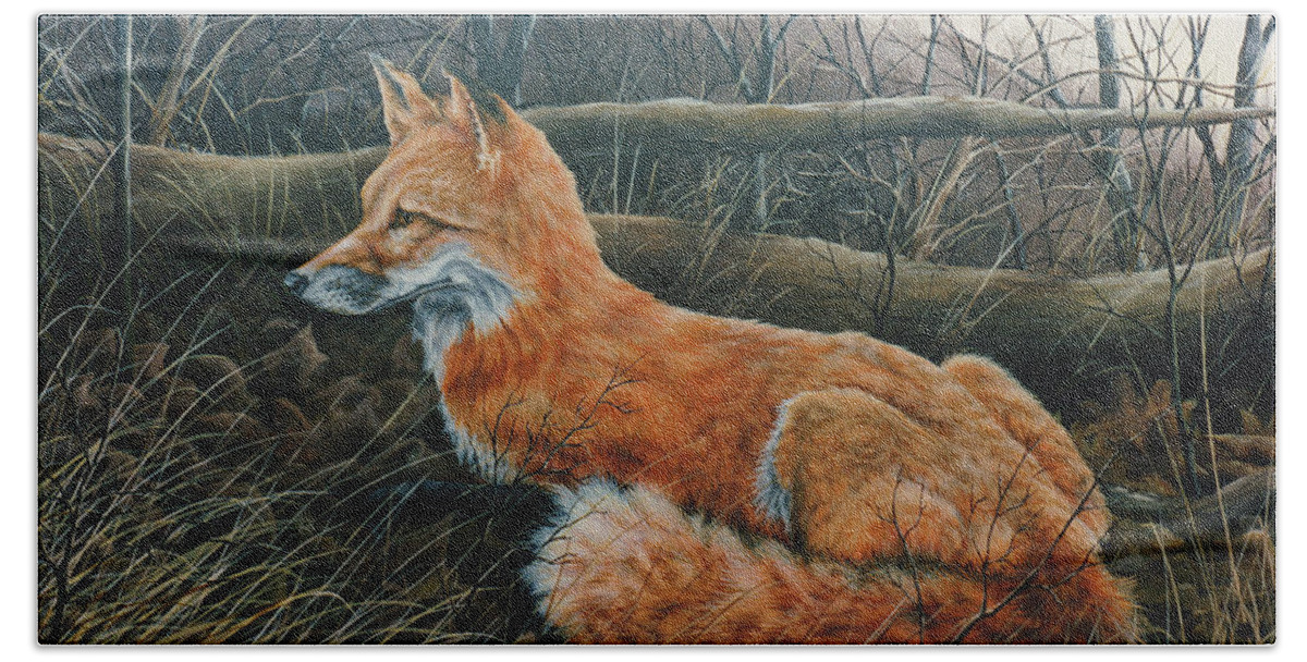 Red Fox Beach Towel featuring the painting Red Fox by Anthony J Padgett