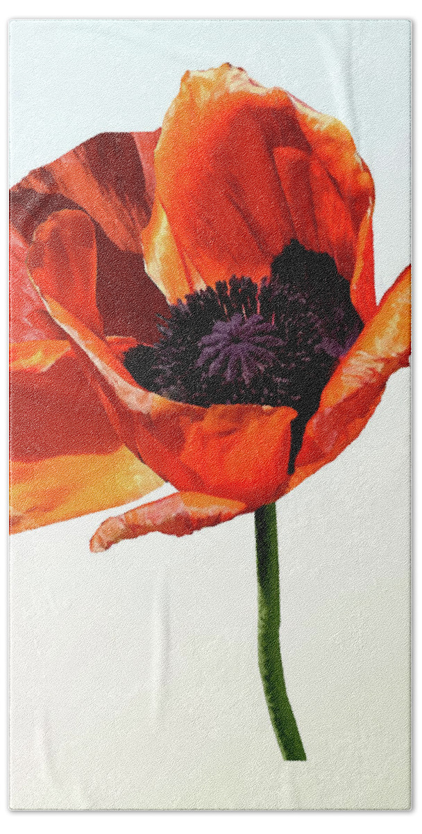 Poppy Beach Towel featuring the photograph Red Poppy in Sunshine by Susan Savad