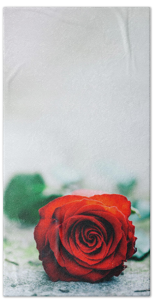 Abandoned Beach Towel featuring the photograph Red rose on the street by Jelena Jovanovic