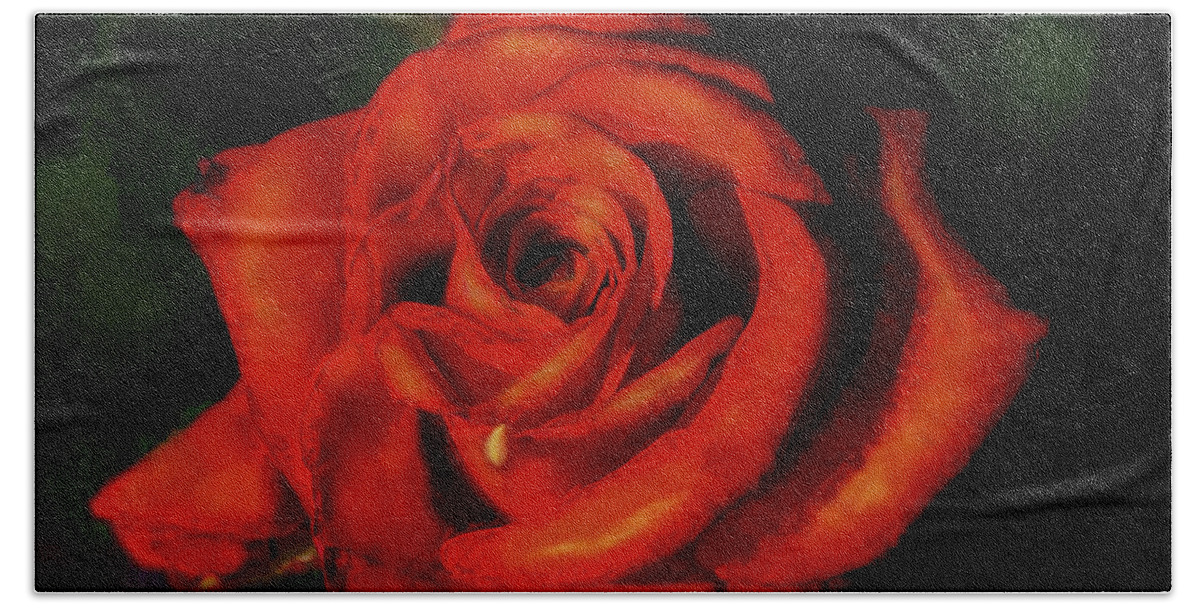 Digital Art Beach Sheet featuring the digital art Red Rose by Sue Masterson
