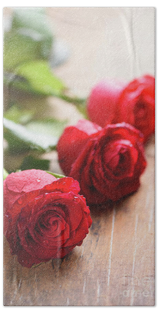 Roses Beach Towel featuring the photograph Red valentines roses closeup by Jelena Jovanovic