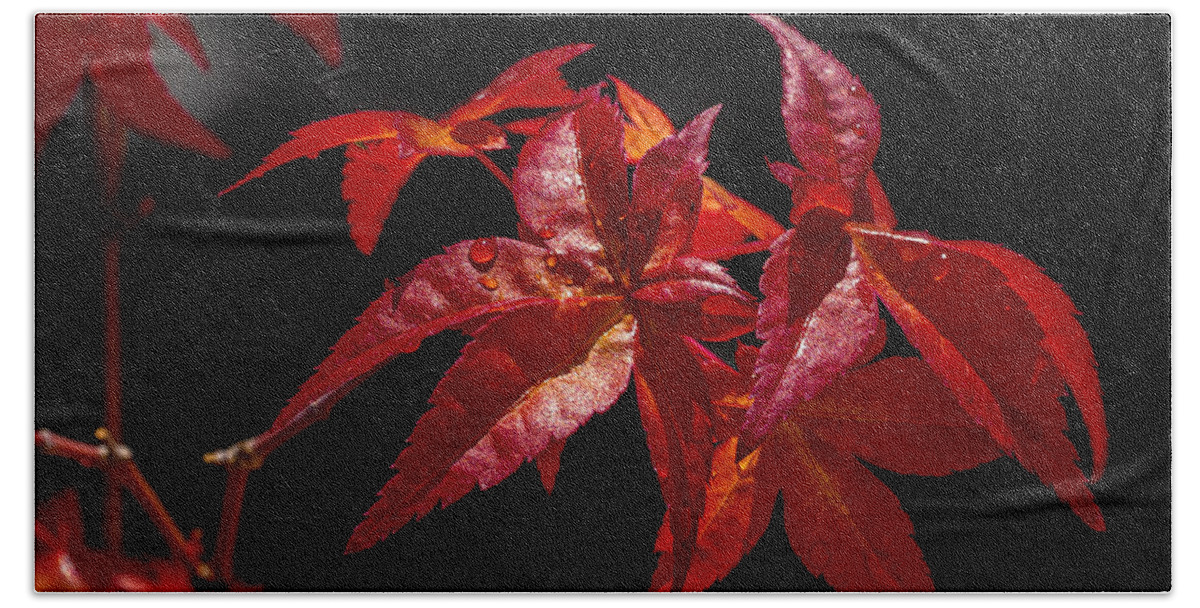 Red Beach Towel featuring the photograph Reds and yellows play together by The P