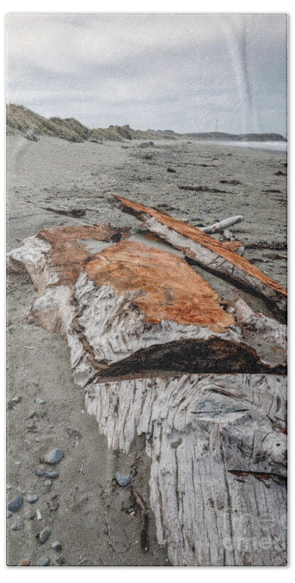 Afternoon Beach Towel featuring the photograph Redwood Buried In Kellog Beach by Al Andersen