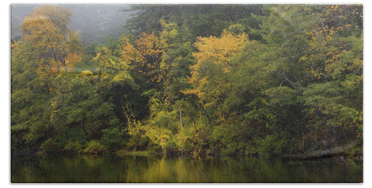 Redwood Beach Towel featuring the photograph Redwoods In The Fall by Mark Alder