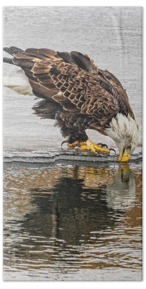 Eagle Beach Towel featuring the photograph Reflection Drinks by Paul Brooks