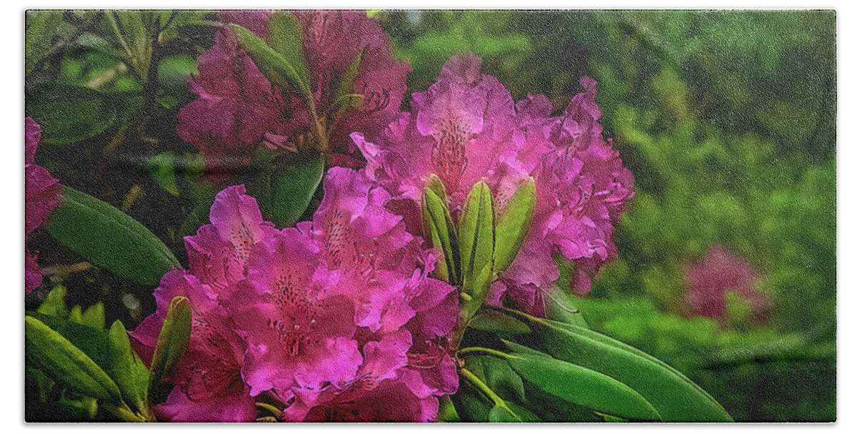 Rhododendron Beach Towel featuring the photograph Rhododendrons in hiding... by Shelia Hunt