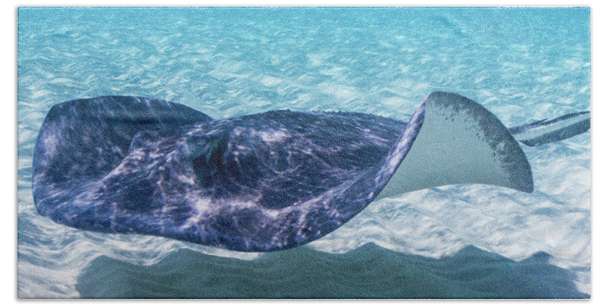 Animals Beach Towel featuring the photograph Riffles by Lynne Browne